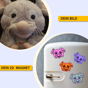2D Magnet – Bild 9